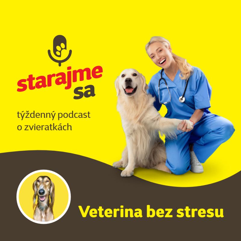 Obrázek epizody Psy: Veterina bez stresu