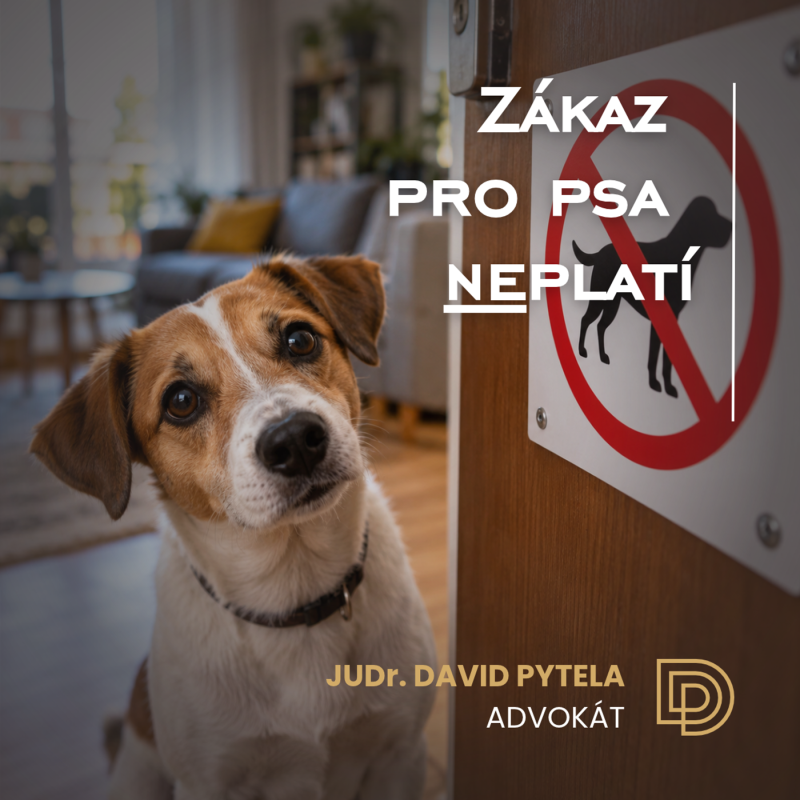 Obrázek epizody 127: Zákaz pro psa neplatí
