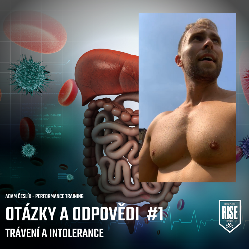 Obrázek epizody #4: Otázky a odpovědi #1