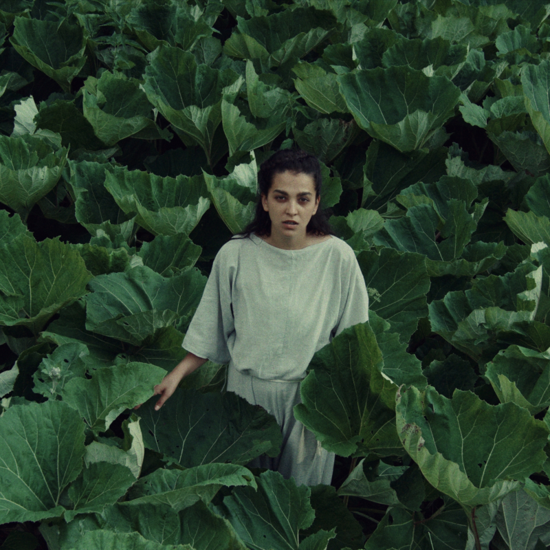 Obrázek epizody Dá se na smrt připravit lépe než na vládu Motoristů? A čeká nás vánoční feministická pohádka?