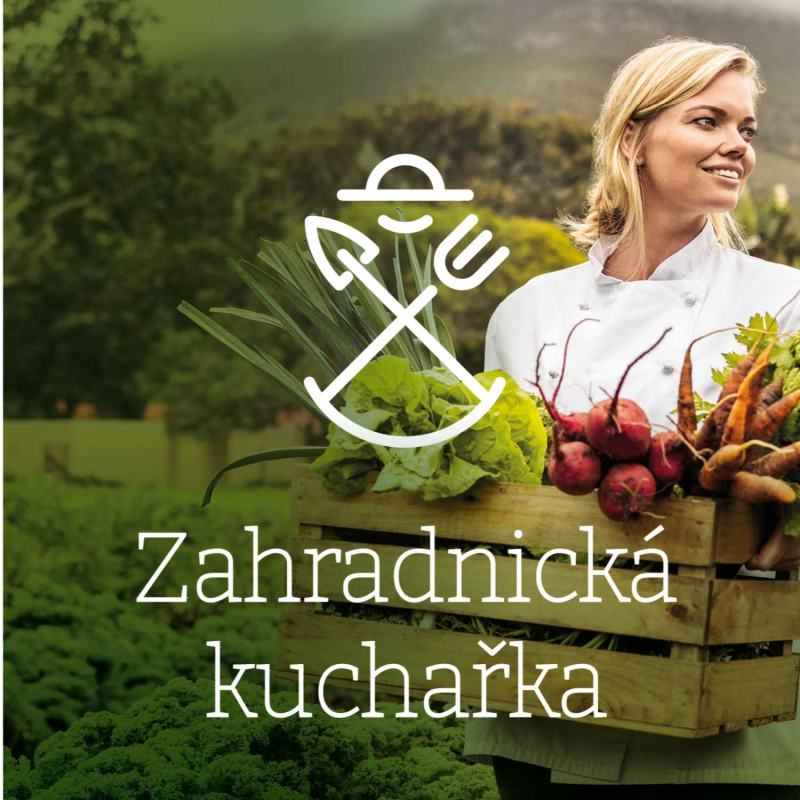 Obrázek epizody #4|Rozhovor – Vytvořte si příjemnou atmosféru na zahradě díky středomořským rostlinám. S Jiřím Savincem Vám poradíme jak na to.