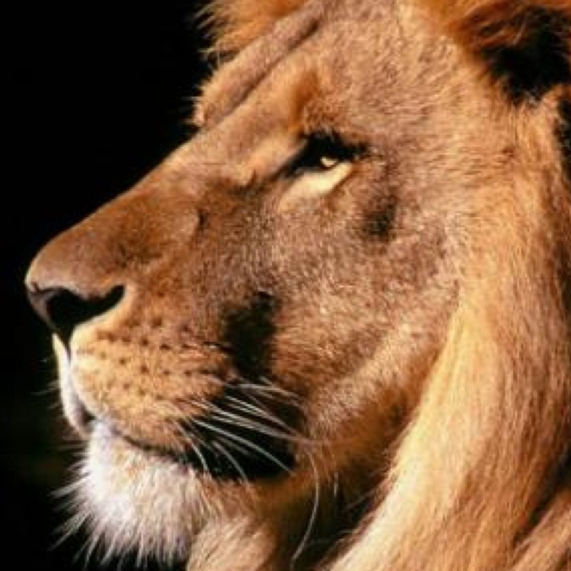 Obrázek epizody Nikdy se nestydět