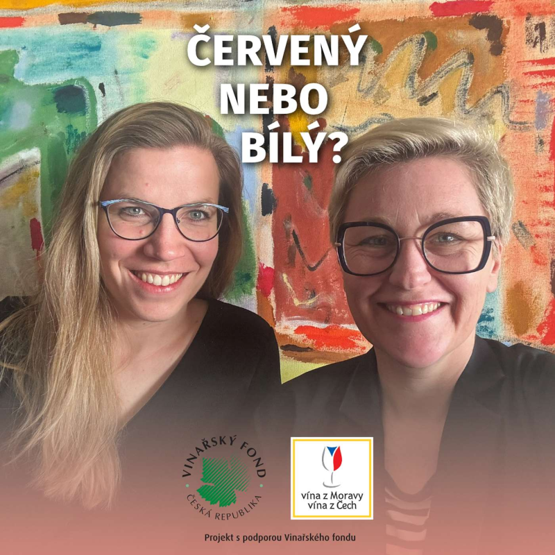 Obrázek epizody 029: Národní sommelierka o exportu do zahraničí, vzdělávání o víně a důležitých milnících