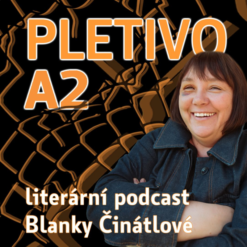 Obrázek epizody Pletivo: Moderní literatura arabských zemí