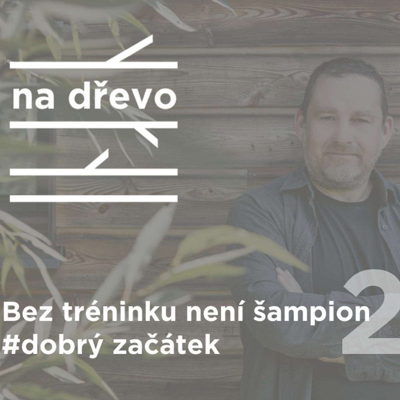 Obrázek epizody BEZ TRÉNINKU, NENÍ ŠAMPION #dobryzacatek #2