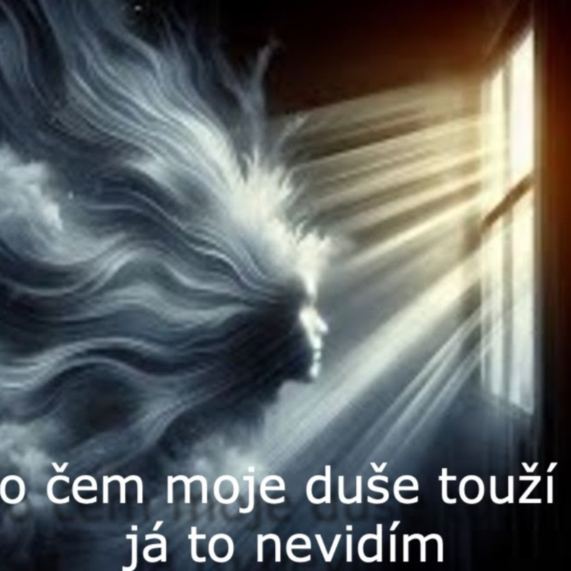 Obrázek epizody Po čem moje duše touží a já to nevidím