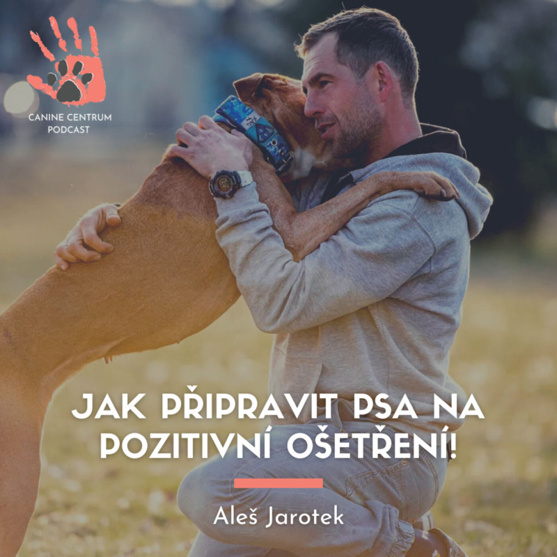 Obrázek epizody Jak připravit psa na pozitivní ošetření | Aleš Jarotek