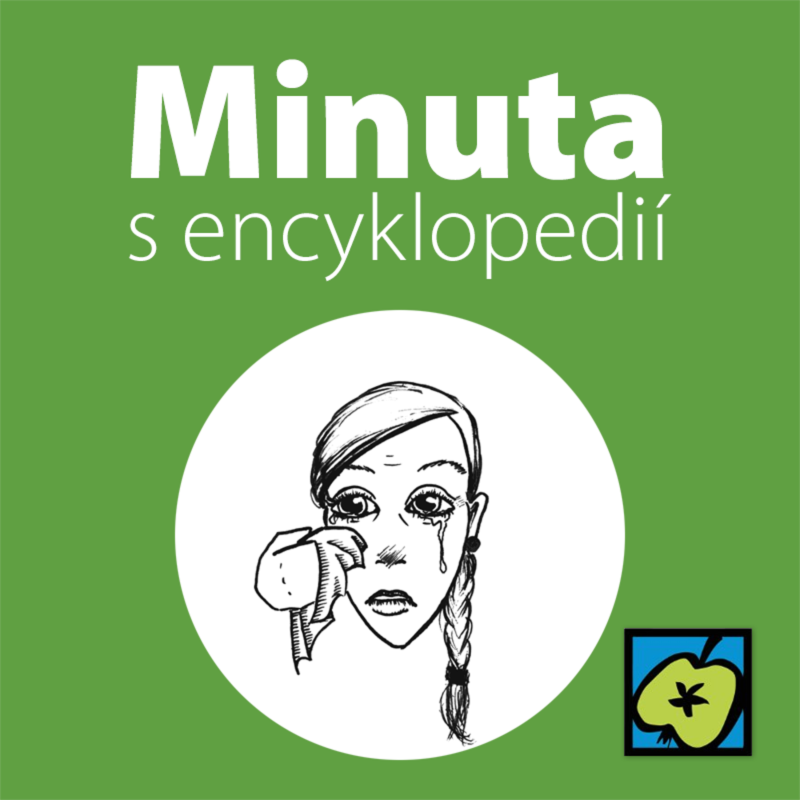 Obrázek epizody Kapesník