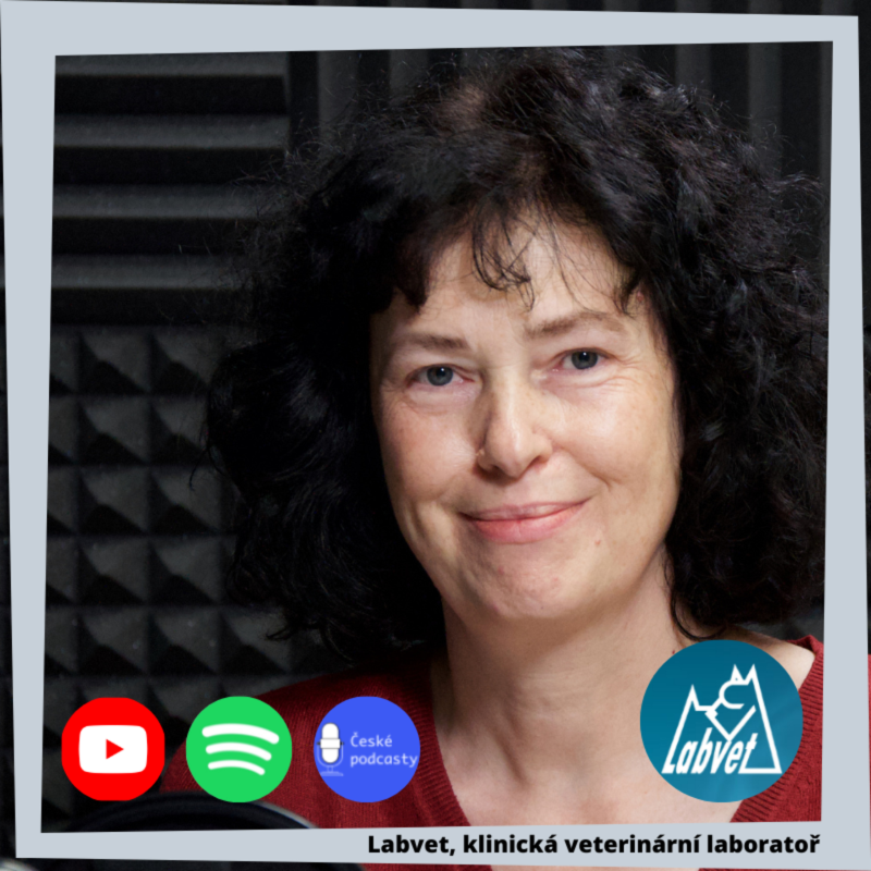 Obrázek epizody Proč a jak pečovat o střevní bakterie