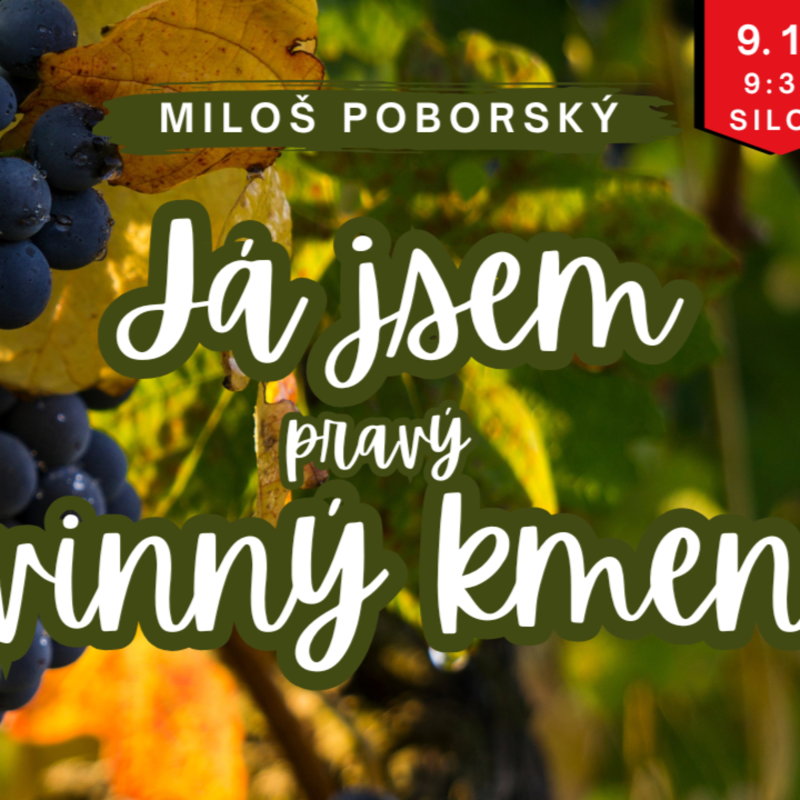 Obrázek epizody Já jsem pravý vinný kmen