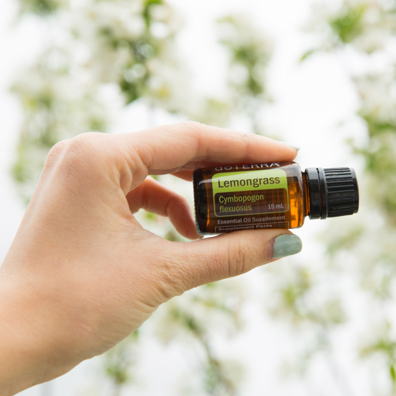 Obrázek epizody Svěží Vítr: Příběh Lemongrass Oleje 🍃🌬️