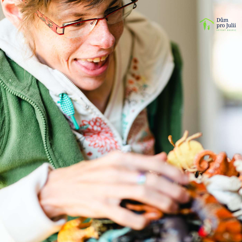 Obrázek epizody Veronika. Tichá domácnost.