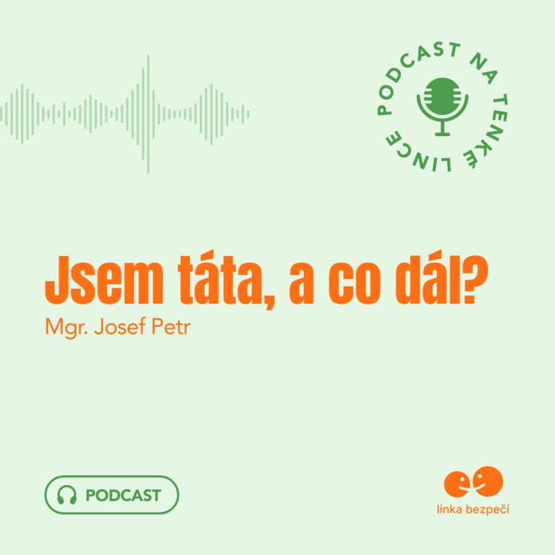 Obrázek epizody Jsem táta, a co dál?