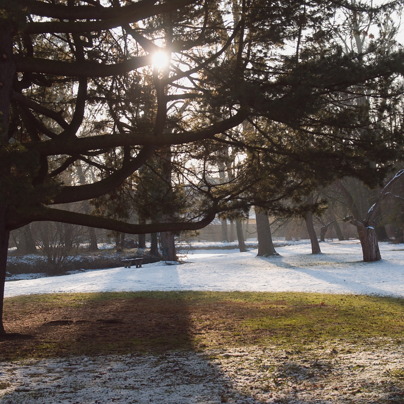 Obrázek epizody 65. Sobota 3. adventního týdne