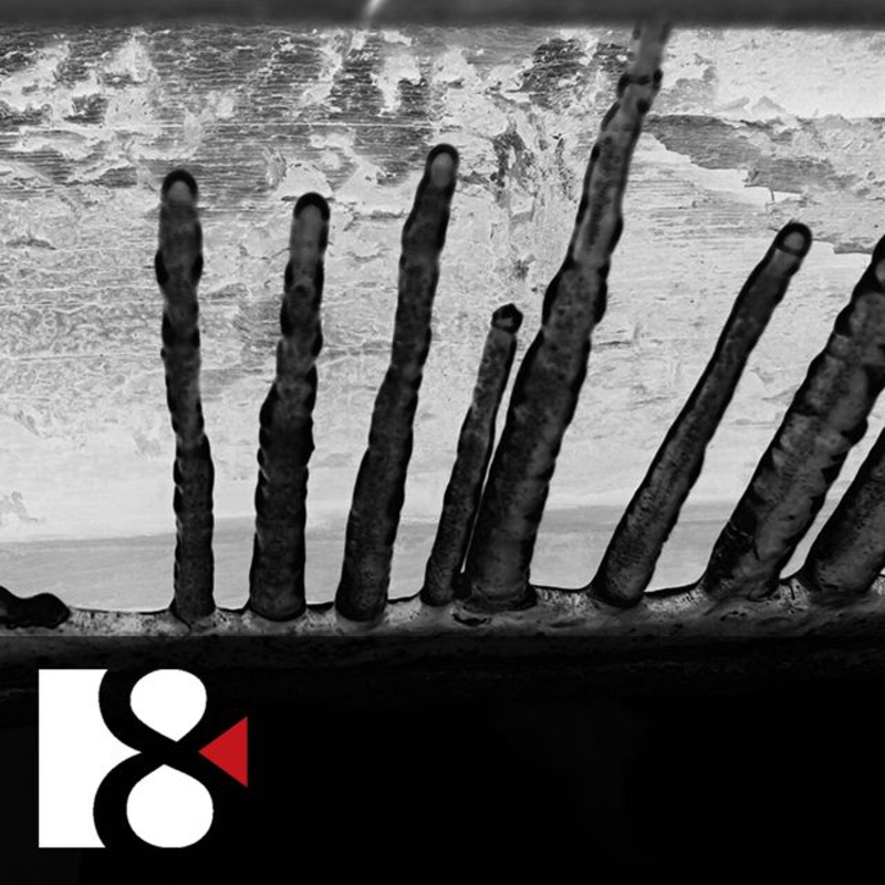 Obrázek epizody Úcta ke stvoření | jako duchovní úkol (3. října 2024)