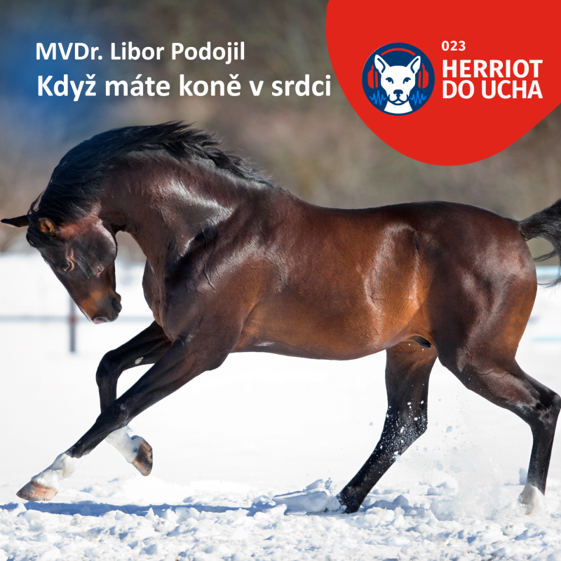 Obrázek epizody #23 Když máte koně v srdci 🐎 - MVDr. Libor Podojil