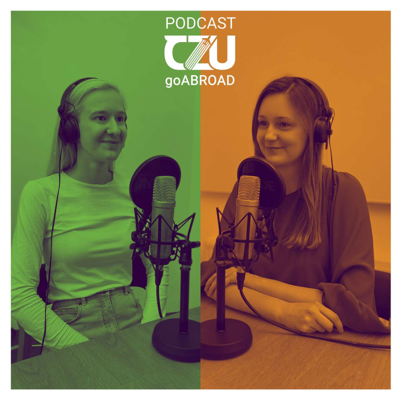 Obrázek epizody |43| Poznej Lüneburg! Viki rok v Německu.