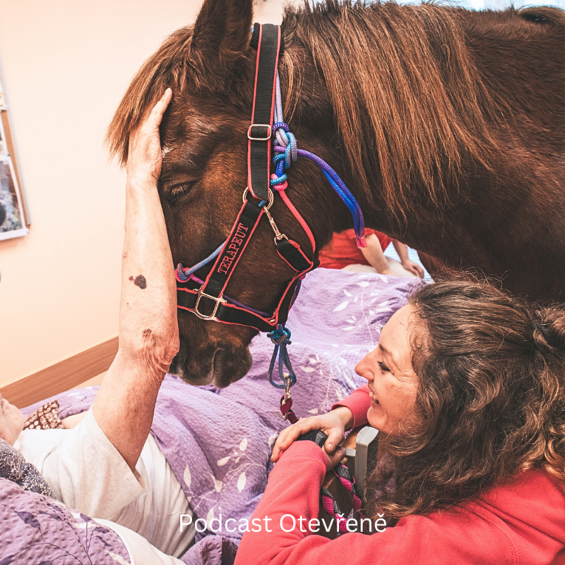 Obrázek epizody #38 - S psycholožkou Klárou o kontaktní terapii s koněm