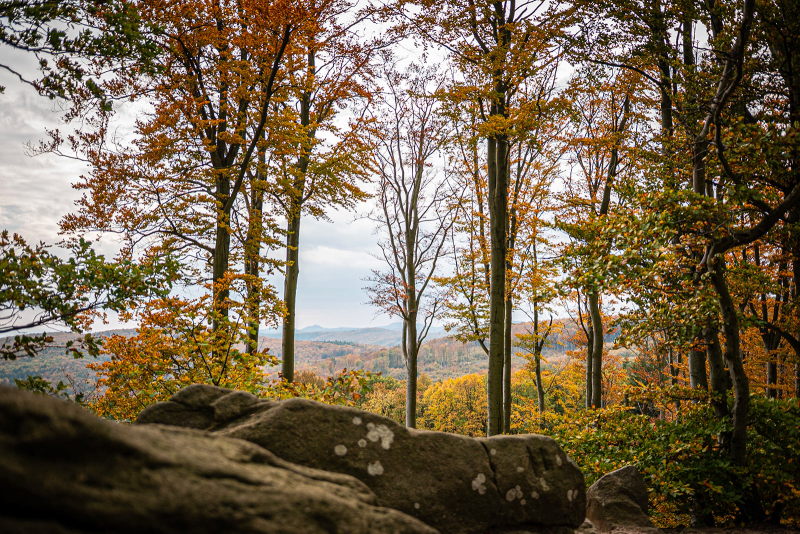 Obrázek epizody Chřiby krásné, Chřiby chráněné?