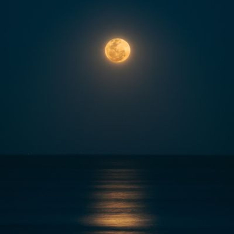 Obrázek epizody Dream Deep Sleep Music Soundscape | Rain Sounds & Ambient Music