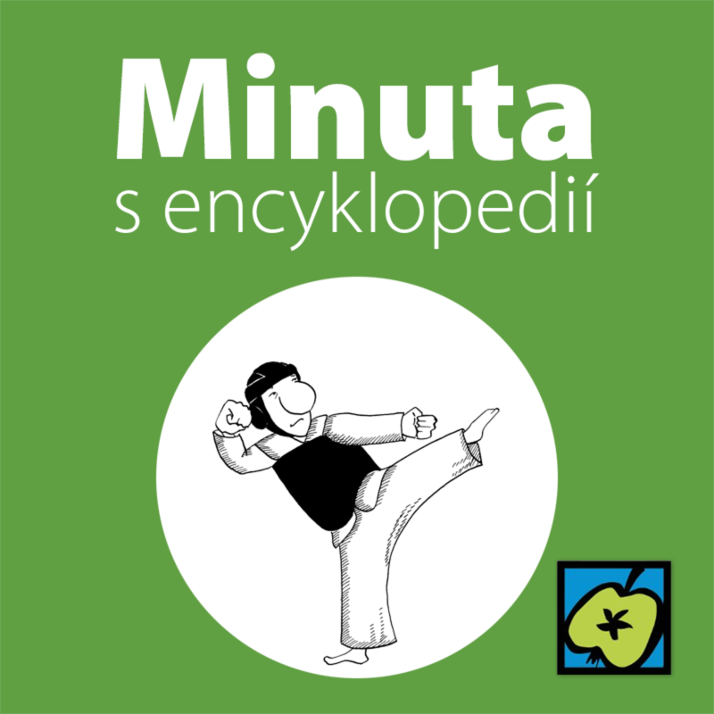 Obrázek epizody Taekwondo