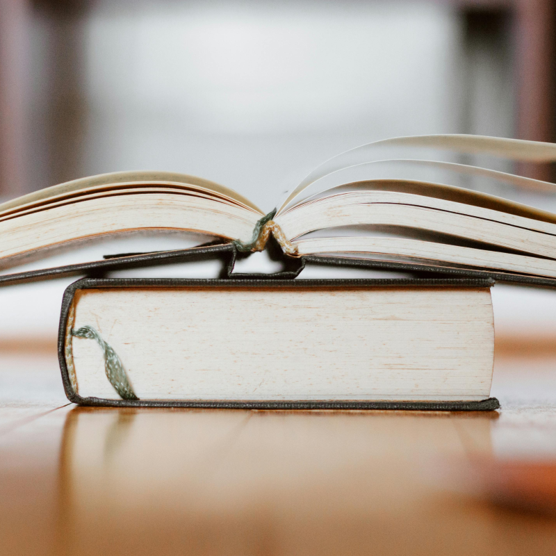 Obrázek epizody Literatura Romů – nenápadný fenomén doby