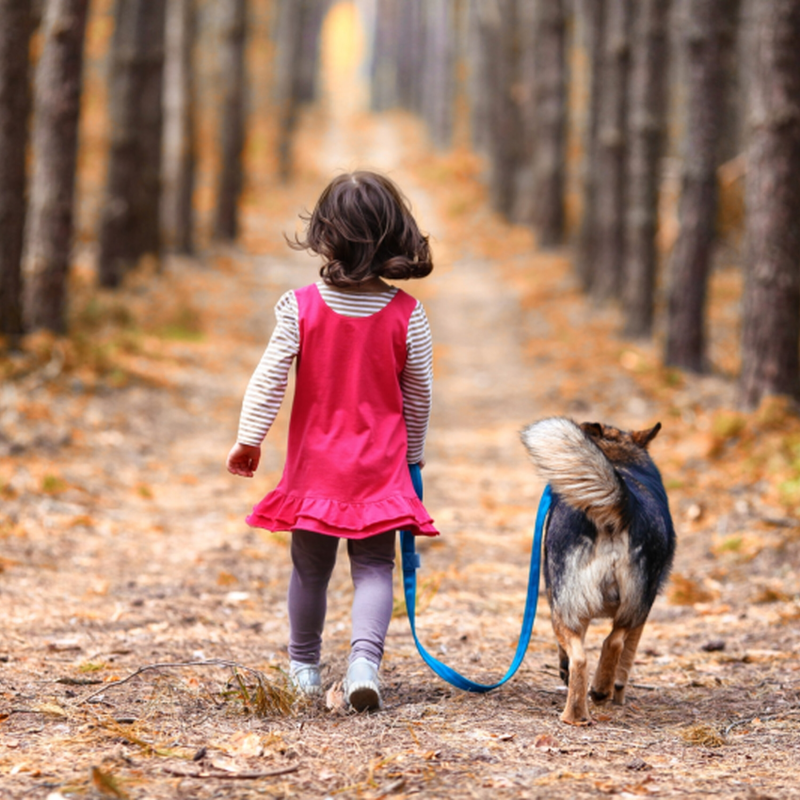 Obrázek epizody Pet Center: Proč dětem pořídit domácího mazlíčka?