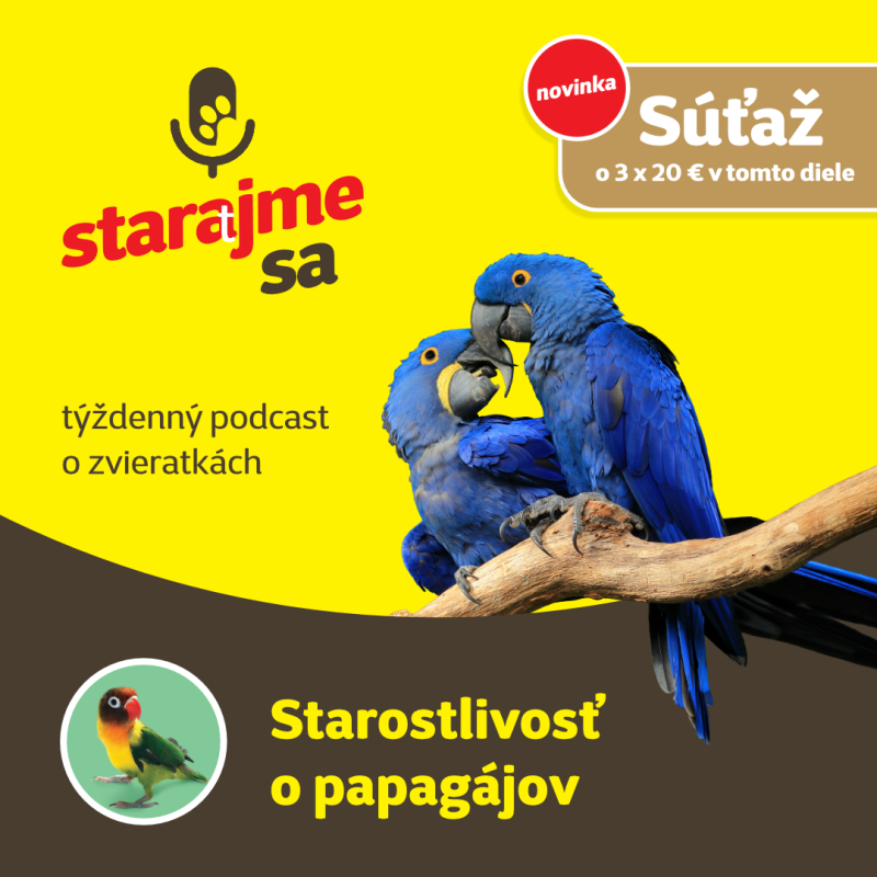 Obrázek epizody Vtáky: Starostlivosť o papagájov