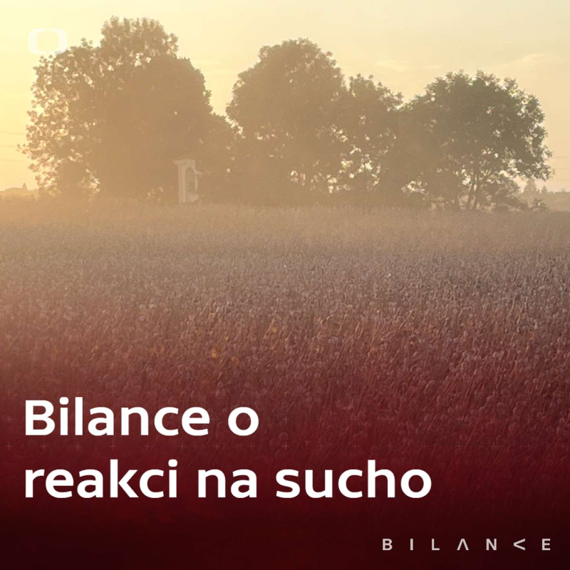 Obrázek epizody Živá půda: cesta ze spirály sucha