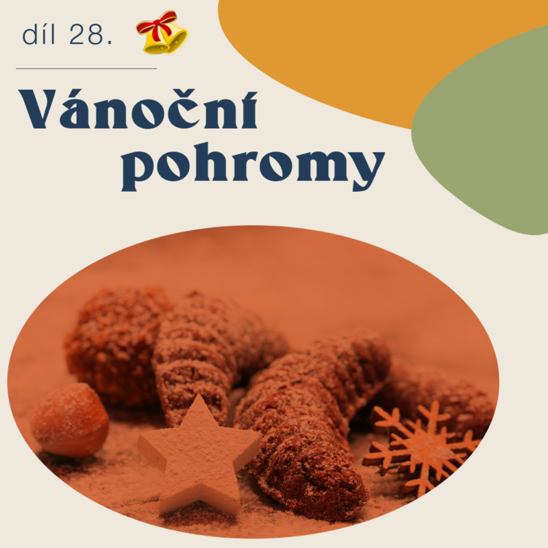 Obrázek epizody # 28 Vánoční pohromy