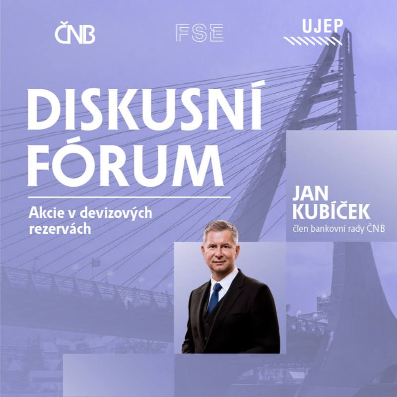Obrázek epizody Kubíček, Rusinko: Akcie v devizových rezervách | Diskusní fórum ČNB na UJEP