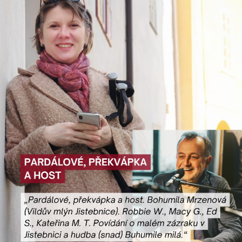 Obrázek epizody Špalek a Bohumila Mrzenová, Vildův mlýn