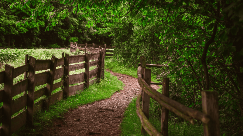 Obrázek epizody Hypnóza Léčivý vír – Healing Vortex