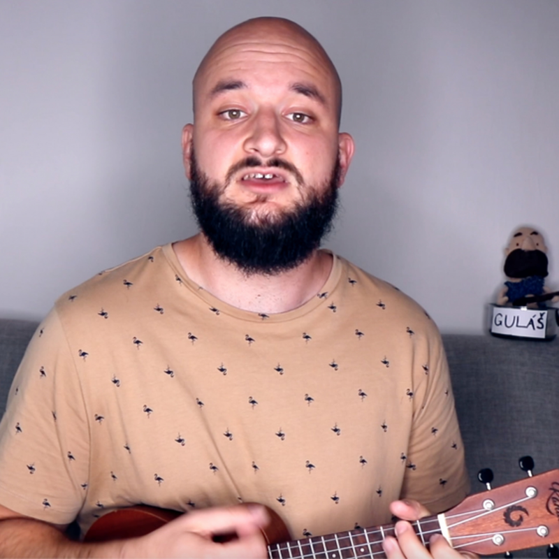 Obrázek epizody Upřímná hymna každé politické strany