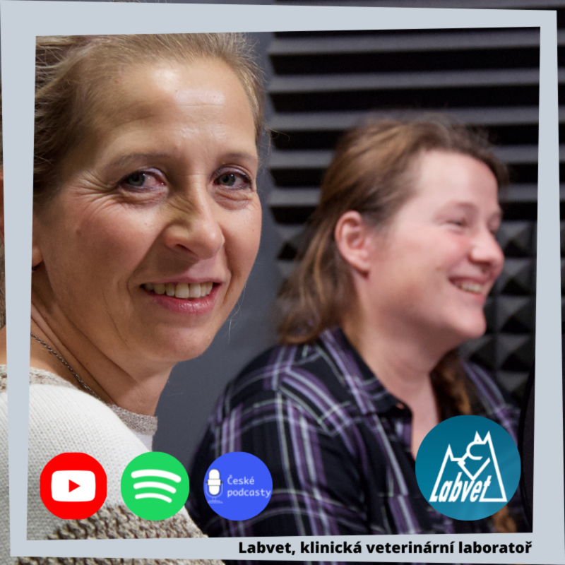 Obrázek epizody Už jste četli eCanis?