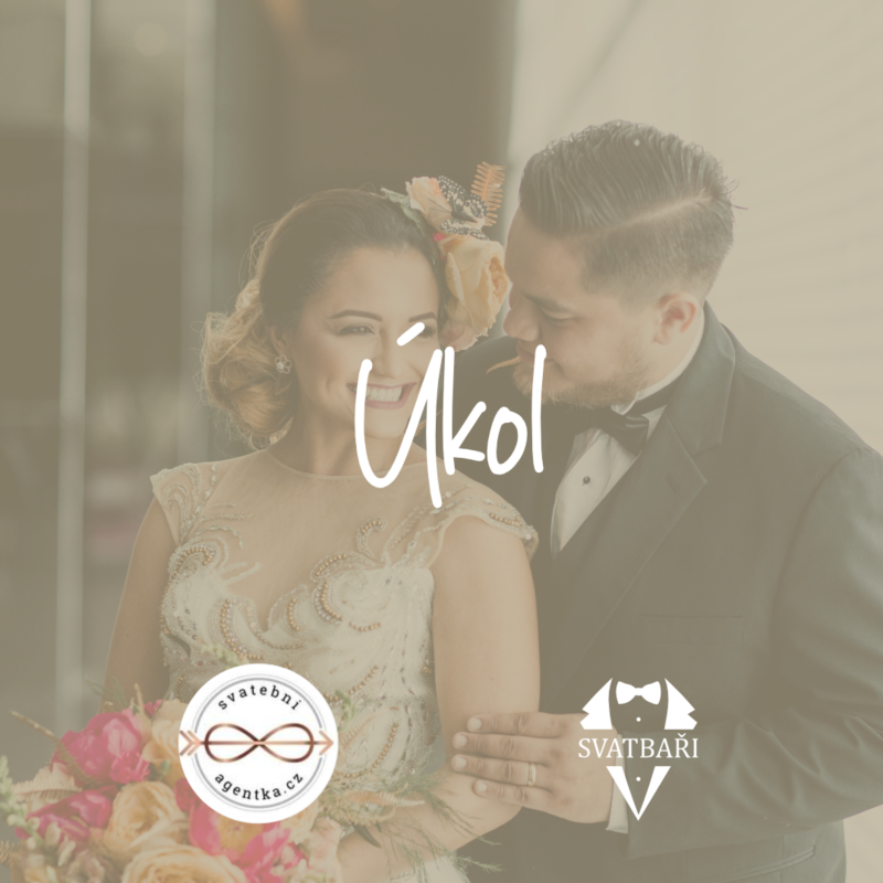 Obrázek epizody #14.1 Manželé Faltýnkovi - Host // CO JE ÚKOLEM NEVĚSTY A ŽENICHA?