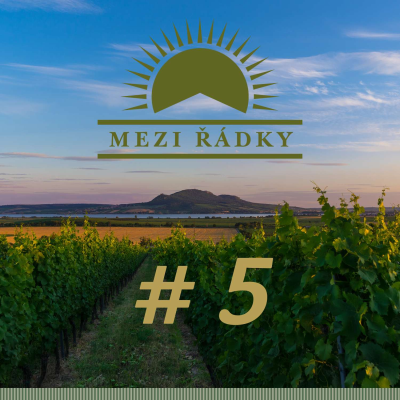 Obrázek epizody #4 O rosé k bazénu a dalších nesmyslech