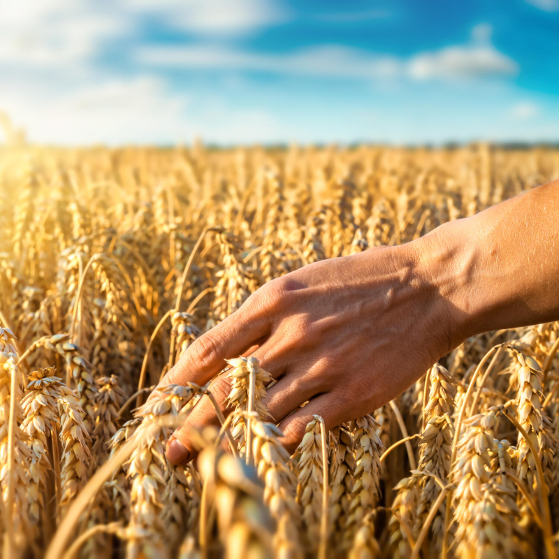 Obrázek epizody Rozeznávat Boží vůli v jeho lásce k člověku