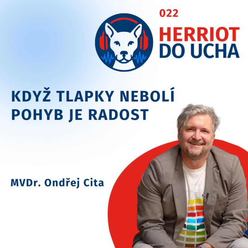 Obrázek epizody Když tlapky nebolí - pohyb je radost. Prevence onemocnění kloubů u psů a koček🐈🐶🐾 - MVDr. Ondřej Cita