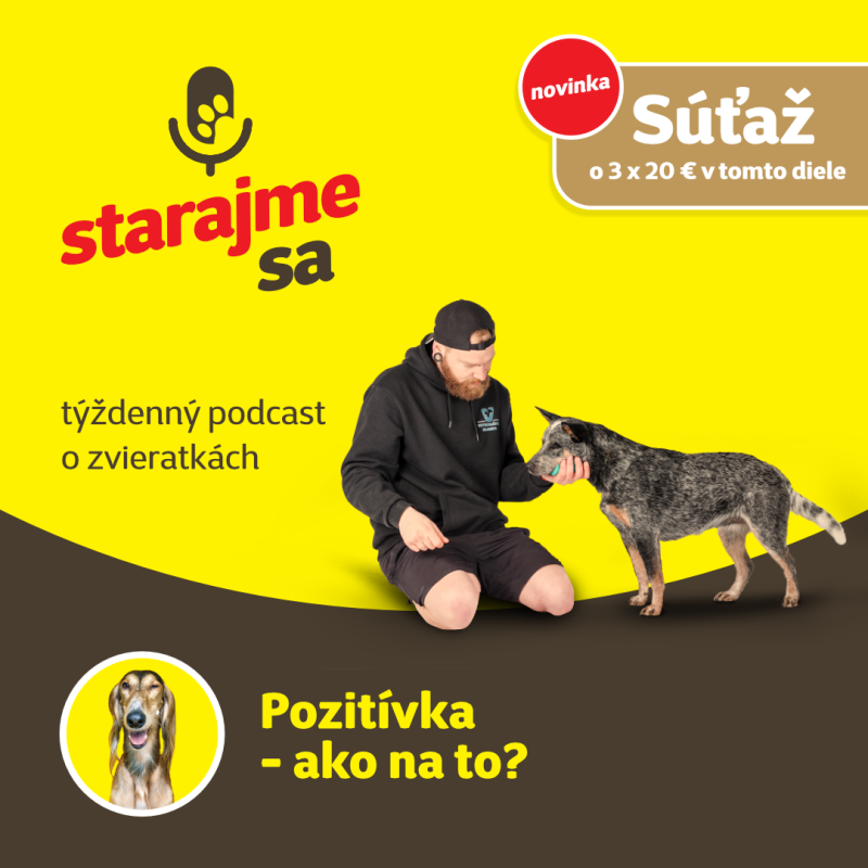 Obrázek epizody Psy: Pozitívka - ako na to?