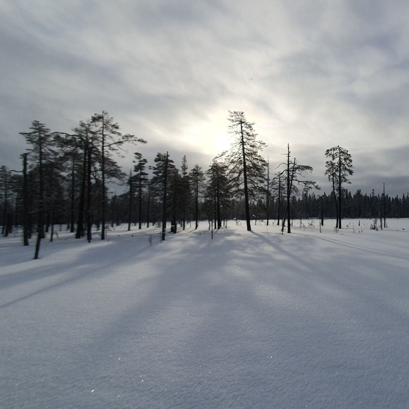 Obrázek epizody Ešus 27/3/2023: Diana a Finsko