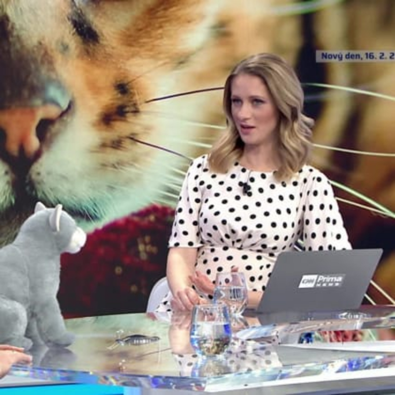 Obrázek epizody To nejlepší z Nového dne 16.2.2021