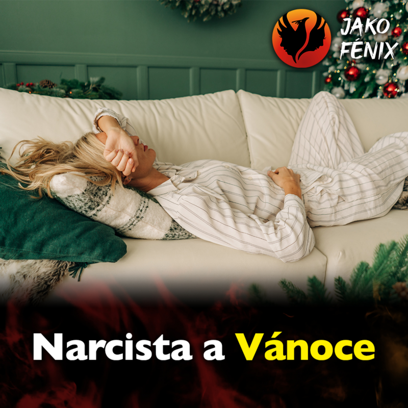 Obrázek epizody Narcista a Vánoce