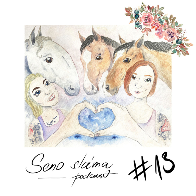 Obrázek epizody #13 Kecací okénko: Otázky a odpovědi, na které jste se neptali II