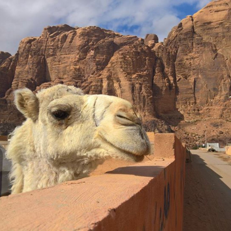 Obrázek epizody Ešus (15.6.2020) [Tomáš a Blízký Východ]