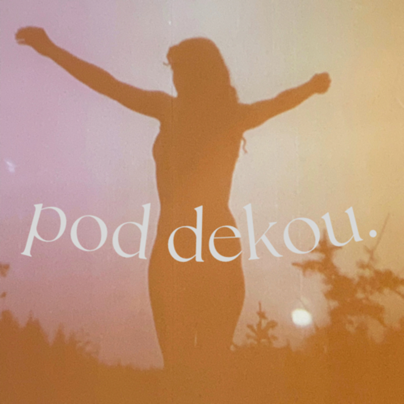 Obrázek epizody #10 Q&A//ráno bez snídaně, večer nájezdníkem na lednici