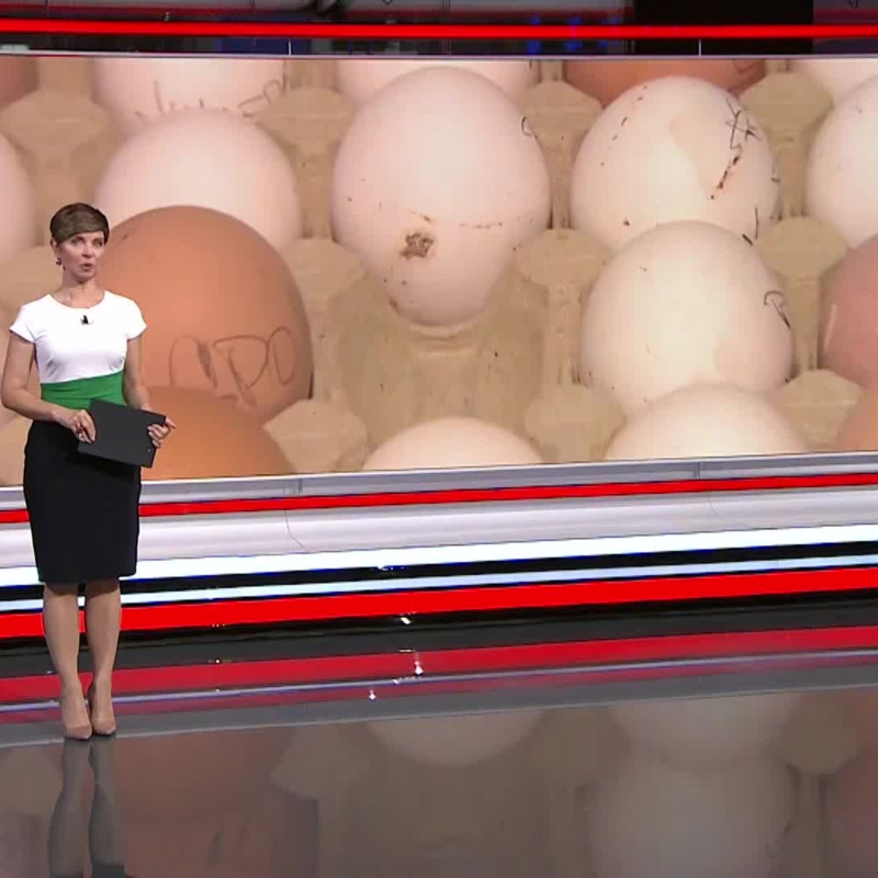 Obrázek epizody Drahá vejce