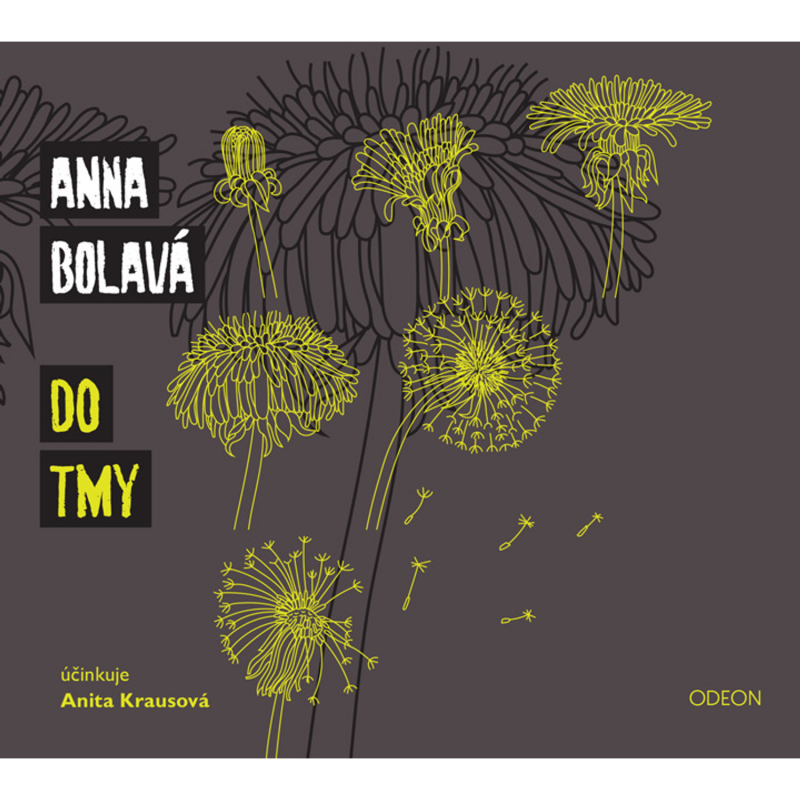 Obrázek epizody Do tmy - ukázka z audioknihy