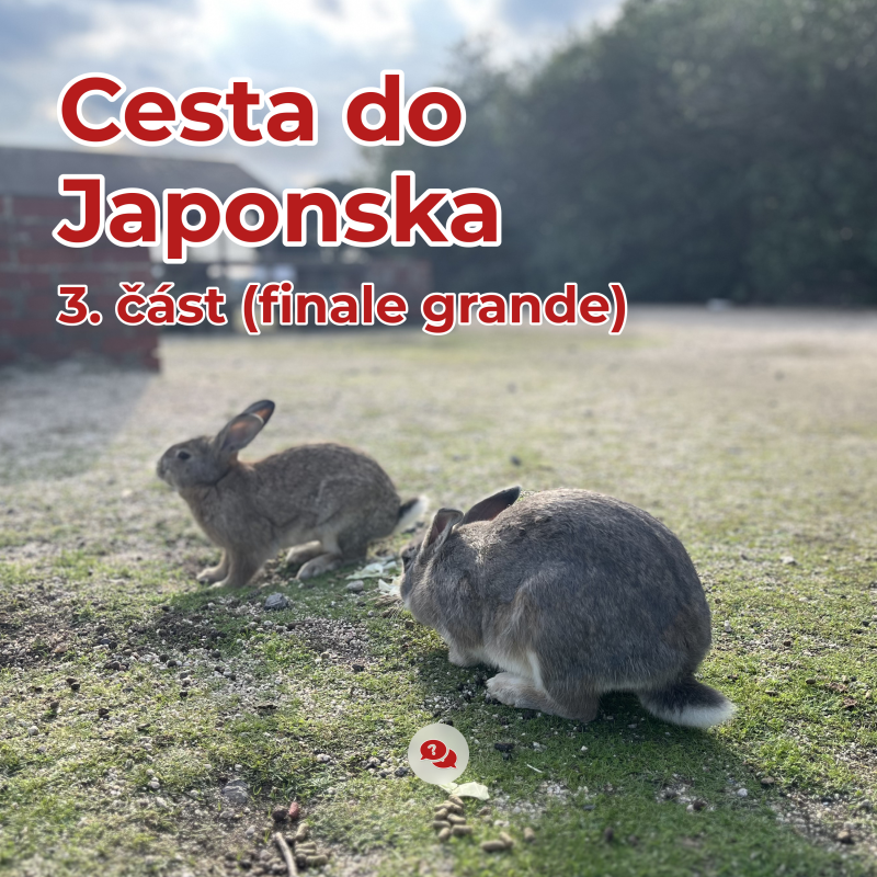 Obrázek epizody #17 Cesta do Japonska - 3. část (finale grande)