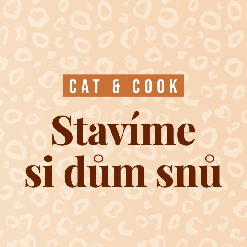 Obrázek epizody Stavíme si dům snů